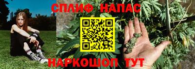 прущие грибы Ливны