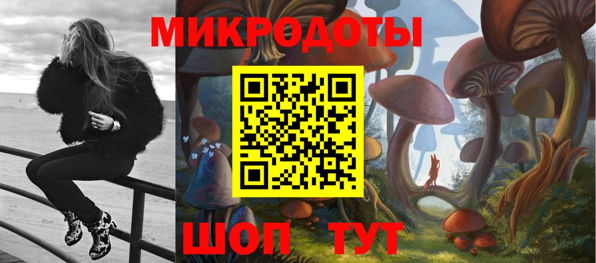 Псилоцибиновые грибы Cubensis  Вход с VPN  Щёлково 